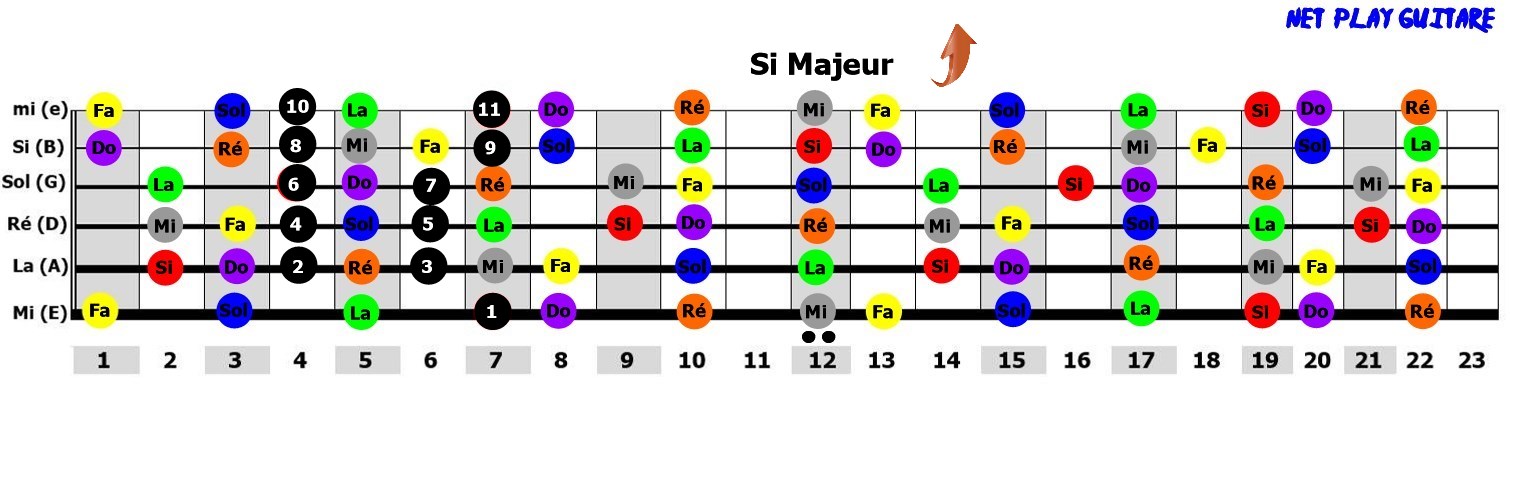 NetPlayGuitare gamme pentatonique Si majeur