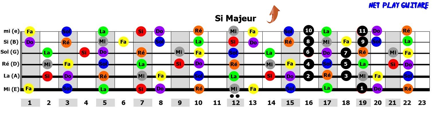 NetPlayGuitare gamme pentatonique Si majeur