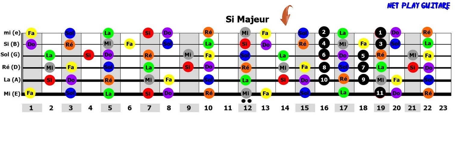 NetPlayGuitare gamme pentatonique Si majeur
