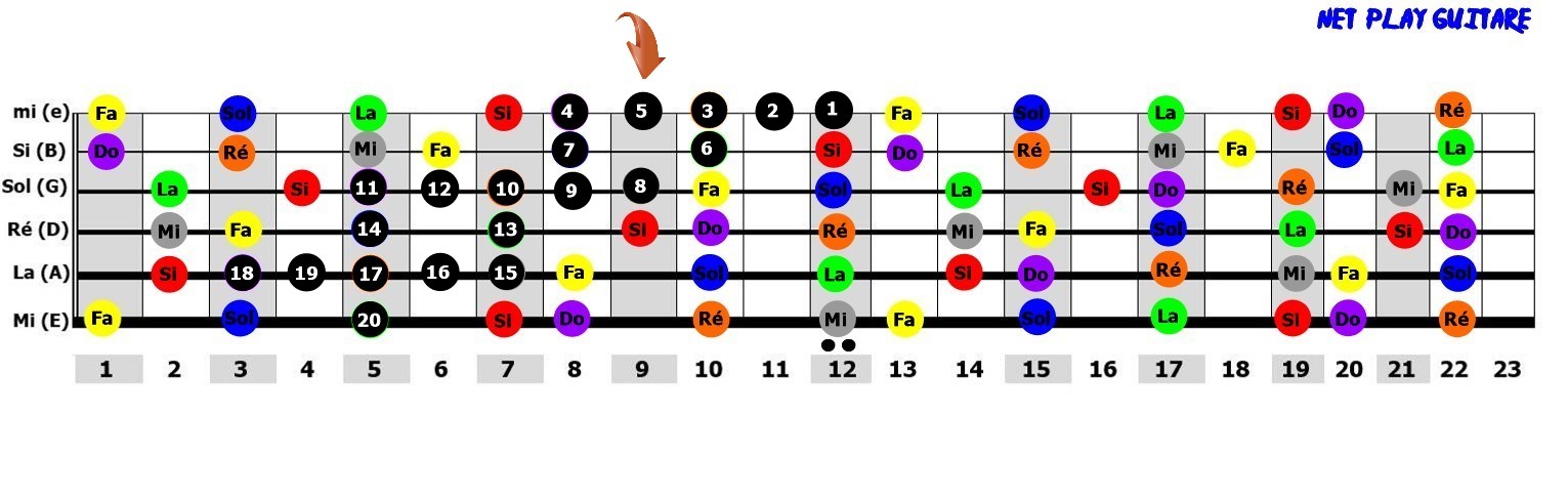 NetPlayGuitare gamme pour impro